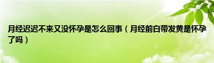 月經(jīng)遲遲不來又沒懷孕是怎么回事（月經(jīng)前白帶發(fā)黃是懷孕了嗎）