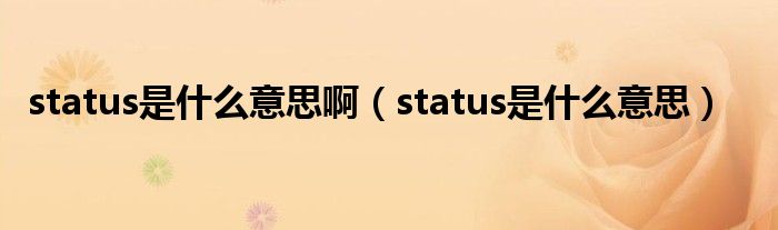 status是什么意思?。╯tatus是什么意思）