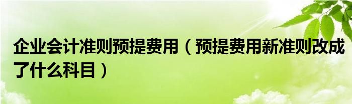 企業(yè)會(huì)計(jì)準(zhǔn)則預(yù)提費(fèi)用（預(yù)提費(fèi)用新準(zhǔn)則改成了什么科目）