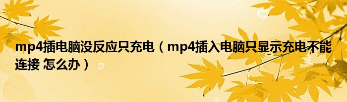 mp4插電腦沒反應只充電（mp4插入電腦只顯示充電不能連接 怎么辦）