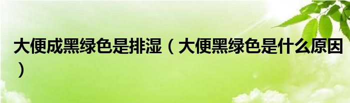 大便成黑綠色是排濕（大便黑綠色是什么原因）