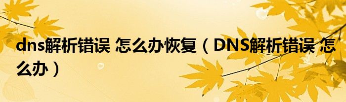 dns解析錯誤 怎么辦恢復(fù)（DNS解析錯誤 怎么辦）