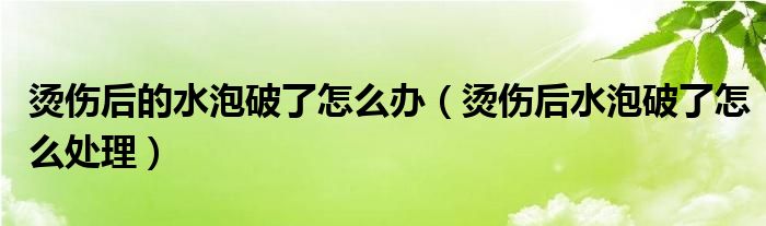 燙傷后的水泡破了怎么辦（燙傷后水泡破了怎么處理）