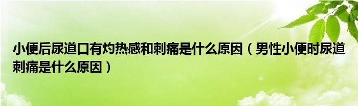 小便后尿道口有灼熱感和刺痛是什么原因（男性小便時尿道刺痛是什么原因）