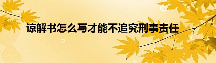 諒解書怎么寫才能不追究刑事責(zé)任