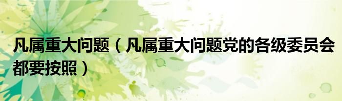 凡屬重大問(wèn)題（凡屬重大問(wèn)題黨的各級(jí)委員會(huì)都要按照）