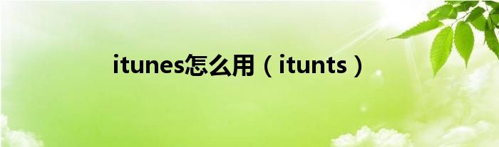 itunes怎么用（itunts）