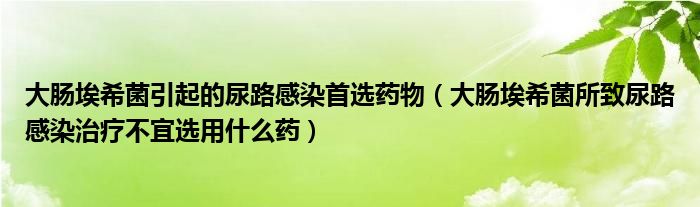 大腸埃希菌引起的尿路感染首選藥物（大腸埃希菌所致尿路感染治療不宜選用什么藥）