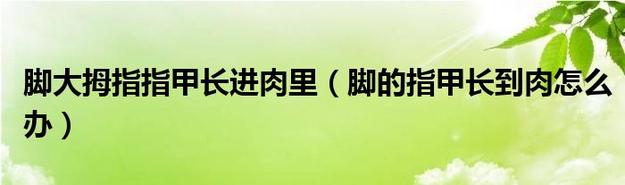 腳大拇指指甲長(zhǎng)進(jìn)肉里（腳的指甲長(zhǎng)到肉怎么辦）