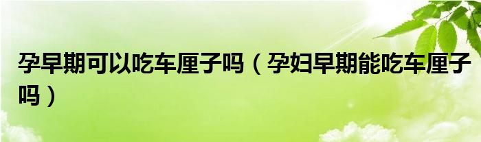 孕早期可以吃車厘子嗎（孕婦早期能吃車厘子嗎）