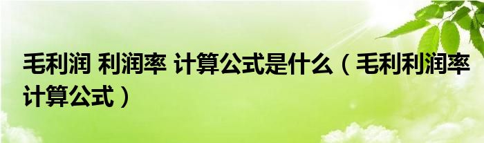 毛利潤(rùn) 利潤(rùn)率 計(jì)算公式是什么（毛利利潤(rùn)率計(jì)算公式）