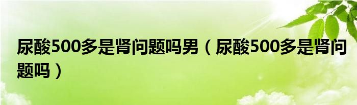 尿酸500多是腎問題嗎男（尿酸500多是腎問題嗎）