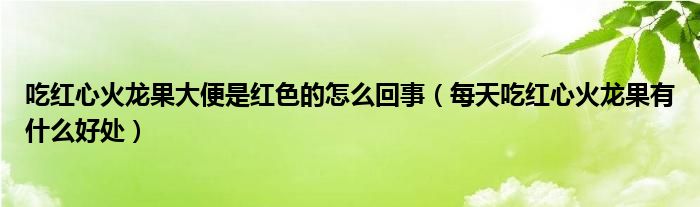 吃紅心火龍果大便是紅色的怎么回事（每天吃紅心火龍果有什么好處）