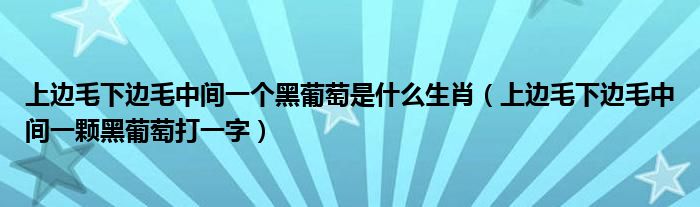 上邊毛下邊毛中間一個(gè)黑葡萄是什么生肖（上邊毛下邊毛中間一顆黑葡萄打一字）