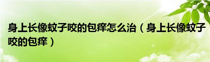 身上長(zhǎng)像蚊子咬的包癢怎么治（身上長(zhǎng)像蚊子咬的包癢）