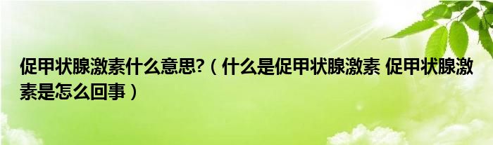 促甲狀腺激素什么意思?（什么是促甲狀腺激素 促甲狀腺激素是怎么回事）