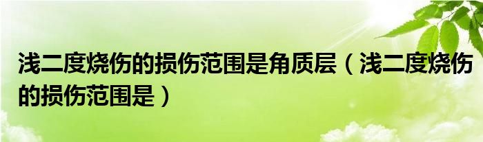 淺二度燒傷的損傷范圍是角質(zhì)層（淺二度燒傷的損傷范圍是）