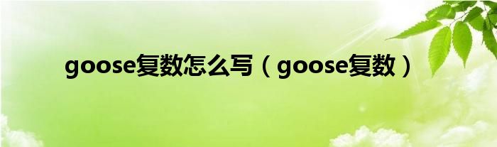 goose復(fù)數(shù)怎么寫（goose復(fù)數(shù)）