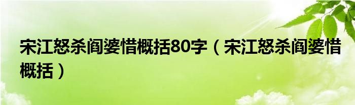 宋江怒殺閻婆惜概括80字（宋江怒殺閻婆惜概括）