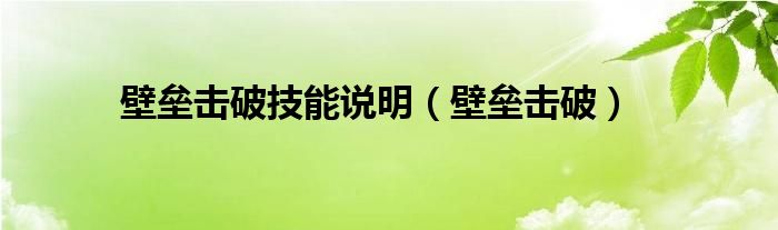 壁壘擊破技能說明（壁壘擊破）