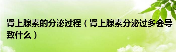 腎上腺素的分泌過(guò)程（腎上腺素分泌過(guò)多會(huì)導(dǎo)致什么）