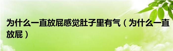 為什么一直放屁感覺肚子里有氣（為什么一直放屁）