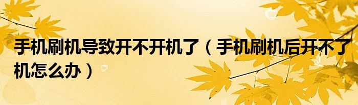 手機刷機導(dǎo)致開不開機了（手機刷機后開不了機怎么辦）