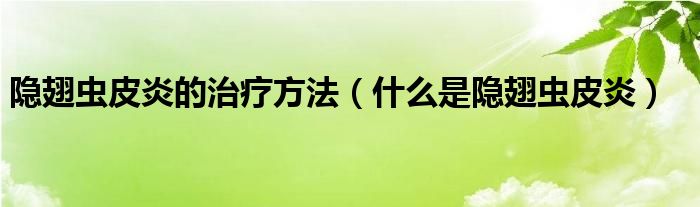 隱翅蟲皮炎的治療方法（什么是隱翅蟲皮炎）