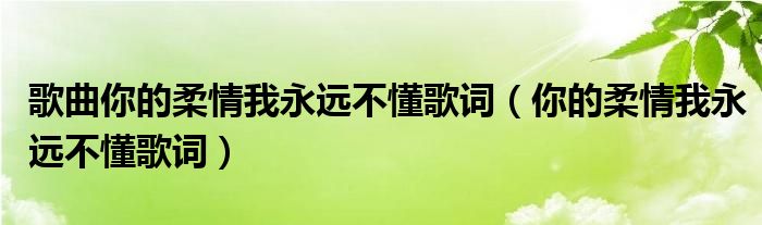 歌曲你的柔情我永遠(yuǎn)不懂歌詞（你的柔情我永遠(yuǎn)不懂歌詞）