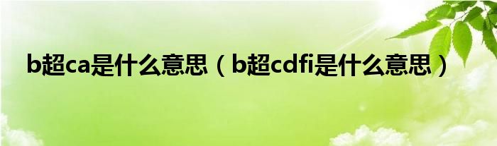 b超ca是什么意思（b超cdfi是什么意思）