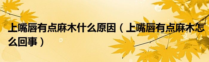 上嘴唇有點(diǎn)麻木什么原因（上嘴唇有點(diǎn)麻木怎么回事）