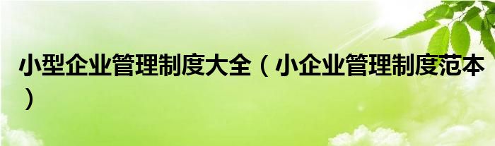 小型企業(yè)管理制度大全（小企業(yè)管理制度范本）