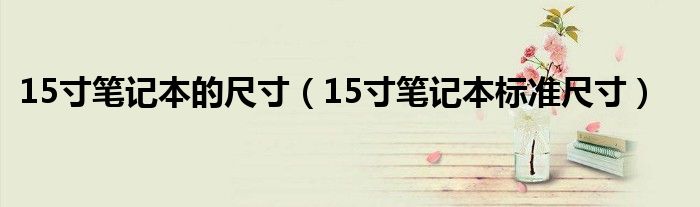 15寸筆記本的尺寸（15寸筆記本標(biāo)準(zhǔn)尺寸）