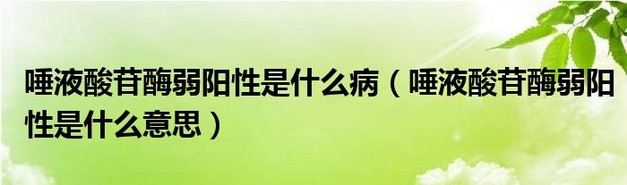 唾液酸苷酶弱陽性是什么?。ㄍ僖核彳彰溉蹶栃允鞘裁匆馑迹?class='thumb lazy' /></a>
		    <header>
		<h2><a  href=