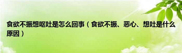 食欲不振想嘔吐是怎么回事（食欲不振、惡心、想吐是什么原因）