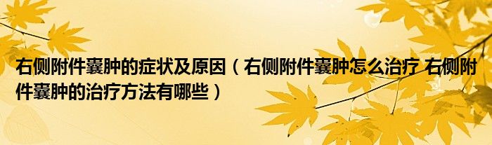 右側附件囊腫的癥狀及原因（右側附件囊腫怎么治療 右側附件囊腫的治療方法有哪些）