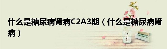 什么是糖尿病腎病C2A3期（什么是糖尿病腎病）