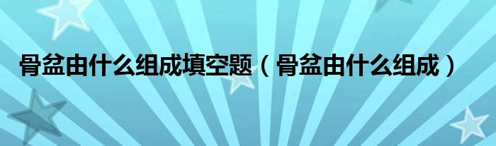 骨盆由什么組成填空題（骨盆由什么組成）