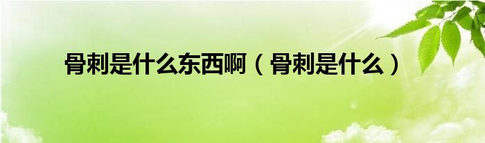 骨刺是什么東西?。ü谴淌鞘裁矗?class='thumb lazy' /></a>
		    <header>
		<h2><a  href=