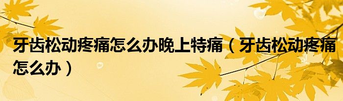 牙齒松動疼痛怎么辦晚上特痛（牙齒松動疼痛怎么辦）