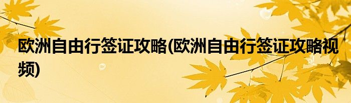 歐洲自由行簽證攻略(歐洲自由行簽證攻略視頻)