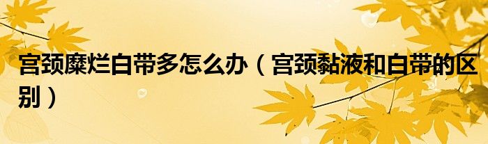 宮頸糜爛白帶多怎么辦（宮頸黏液和白帶的區(qū)別）