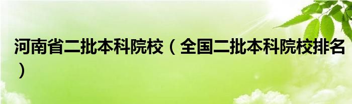 河南省二批本科院校（全國二批本科院校排名）