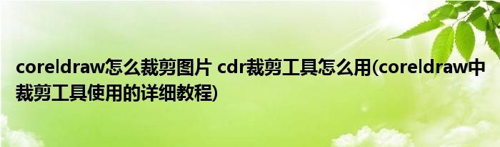 coreldraw怎么裁剪圖片 cdr裁剪工具怎么用(coreldraw中裁剪工具使用的詳細(xì)教程)