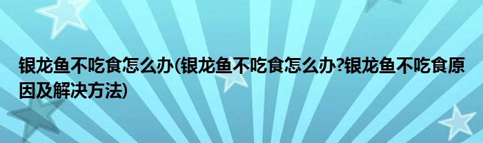 銀龍魚不吃食怎么辦(銀龍魚不吃食怎么辦?銀龍魚不吃食原因及解決方法)