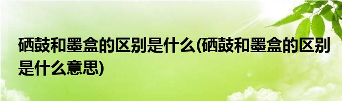 硒鼓和墨盒的區(qū)別是什么(硒鼓和墨盒的區(qū)別是什么意思)