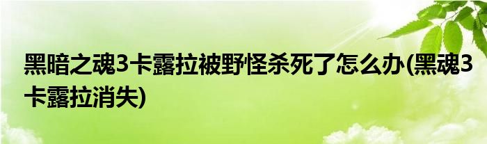 黑暗之魂3卡露拉被野怪殺死了怎么辦(黑魂3卡露拉消失)