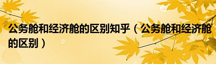 公務(wù)艙和經(jīng)濟艙的區(qū)別知乎（公務(wù)艙和經(jīng)濟艙的區(qū)別）