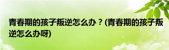 青春期的孩子叛逆怎么辦？(青春期的孩子叛逆怎么辦呀)