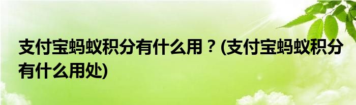 支付寶螞蟻積分有什么用？(支付寶螞蟻積分有什么用處)